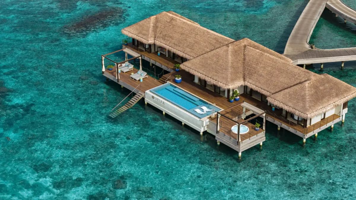 maldives honeymoon, Maldives, The single-paragraph verdict