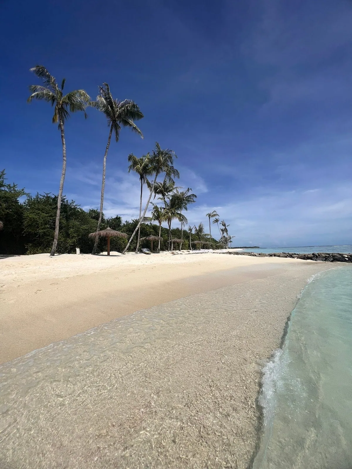 RAAYA by Atmosphere, white-sand beach with thatched parasols, sun loungers, coconut palms and adjacent island across calm lagoon, Raa Atoll, Maldives