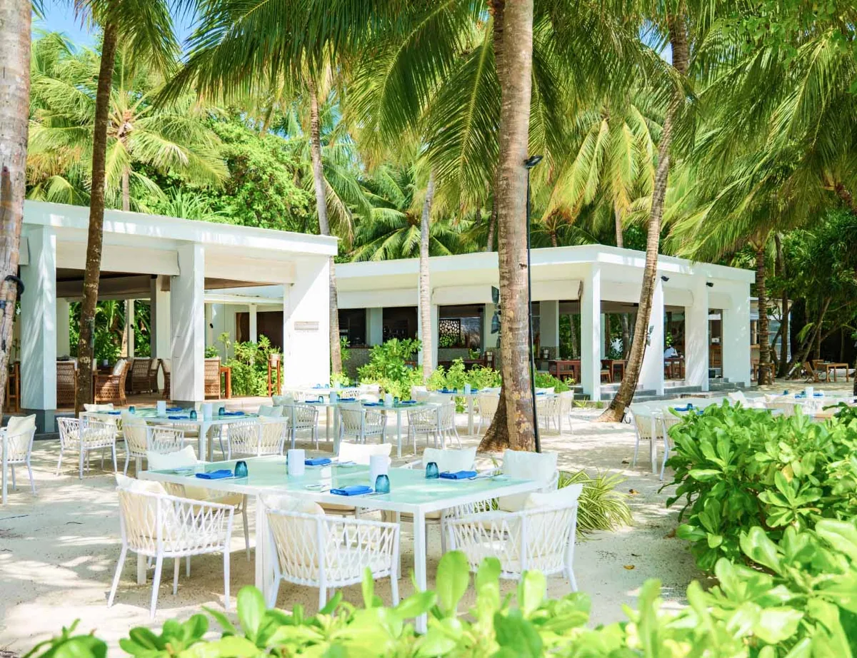 Amilla Maldives, dining, Baa Atoll, Maldives, Barolo Italian restaurant outdoor terrace with the white pavilion architecture, round tables with white-rattan chairs, blue napkin and wine-glass setup, and dense palm canopy framing.