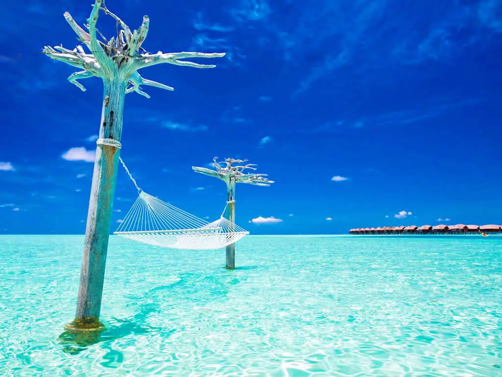 Anantara Dhigu Maldives Resort, lifestyle, South Malé Atoll, Maldives, The signature over-water lagoon hammock, suspended between two coral-painted carved driftwood-art posts (a property installation rather than a natural tree pair) in the crystal turquoise shallows, with the row of red-shingle Over-Water Villas tracking along the lagoon horizon at the right.