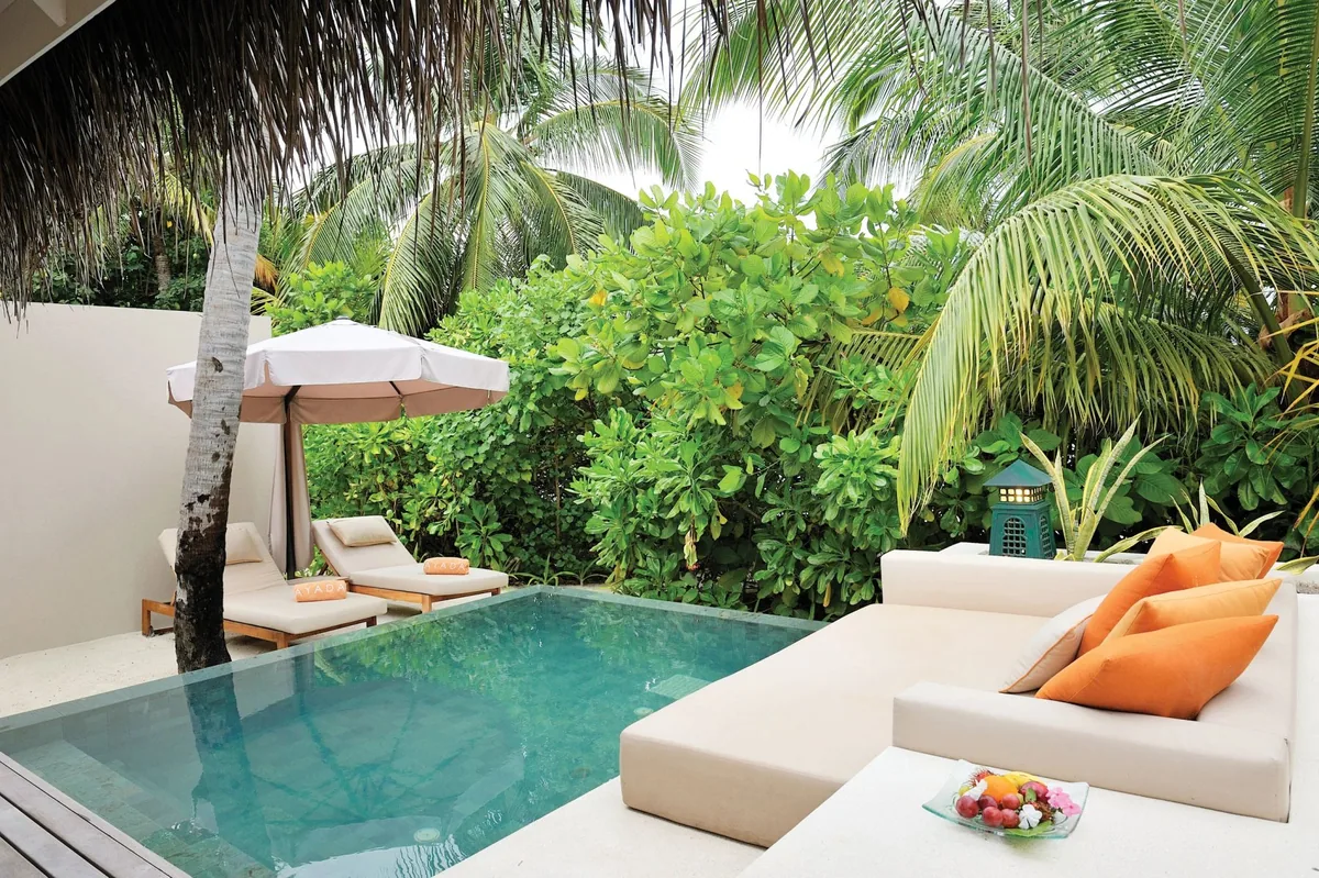 Ayada Maldives, villa beach, Gaafu Dhaalu Atoll, Maldives, Beach Pool Villa private courtyard: rectangular plunge pool framed by white sun lounger and a daybed with saffron-orange cushions, palm canopy + ficus screen for privacy, fruit platter on the corner table.