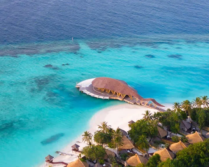 Banyan Tree Vabbinfaru, dining, North Malé Atoll, Maldives, Madi Hiyaa overwater Japanese restaurant, the distinctive long sculptural thatched-and-timber roof curving out from the beach over the lagoon shallows, viewed from the aerial perspective showing the structure jutting into the reef edge.