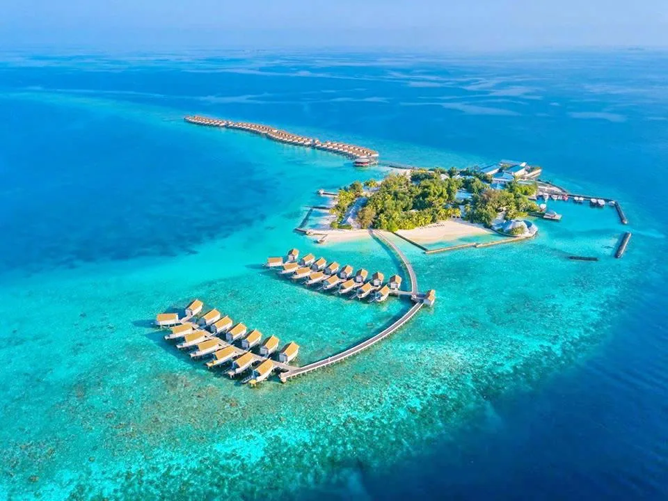 Centara Ras Fushi Resort & Spa, aerial, North Malé Atoll, Maldives, Wide bird's-eye property aerial: the central palm-canopied Giraavaru island with the distinct dual over-water villa cluster geometry (one curved row stretching to the top, second smaller curved row arcing from the south), jetty connections from the island, the deep ocean transitioning to bright turquoise reef around the property.