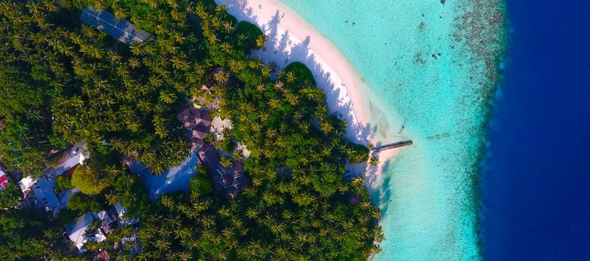 Coco Fehi Rah, aerial, South Malé Atoll, Maldives, Close-aerial of the island tip: thatched-roof buildings clustered under the dense palm canopy along the beach edge, the short jetty extending into the lagoon, and the fringing reef at the shoreline, a historic view before the Coco Collection redevelopment.