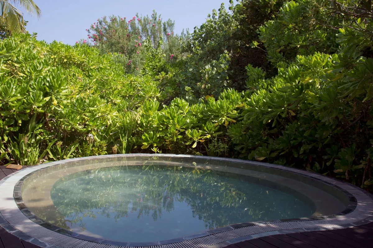 Coco Palm Dhuni Kolhu, spa, Baa Atoll, Maldives, Coco Spa kidney-shaped plunge pool with stone coping set into the dense vegetation, the curved water surface reflecting the bougainvillea, sea-grape canopy and the sky above the spa pavilion deck.