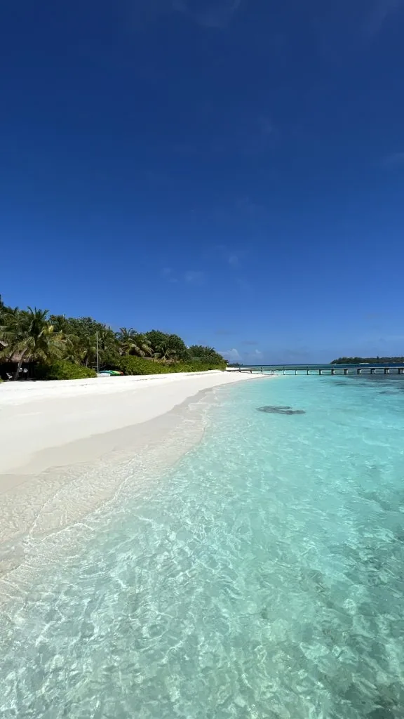 COMO Cocoa Island, setting, South Malé Atoll, Maldives, Main-island beach shoreline, the soft-edge waterline curving along the palm-fringed interior, the walking jetty just visible extending out to the over-water villas on the right.