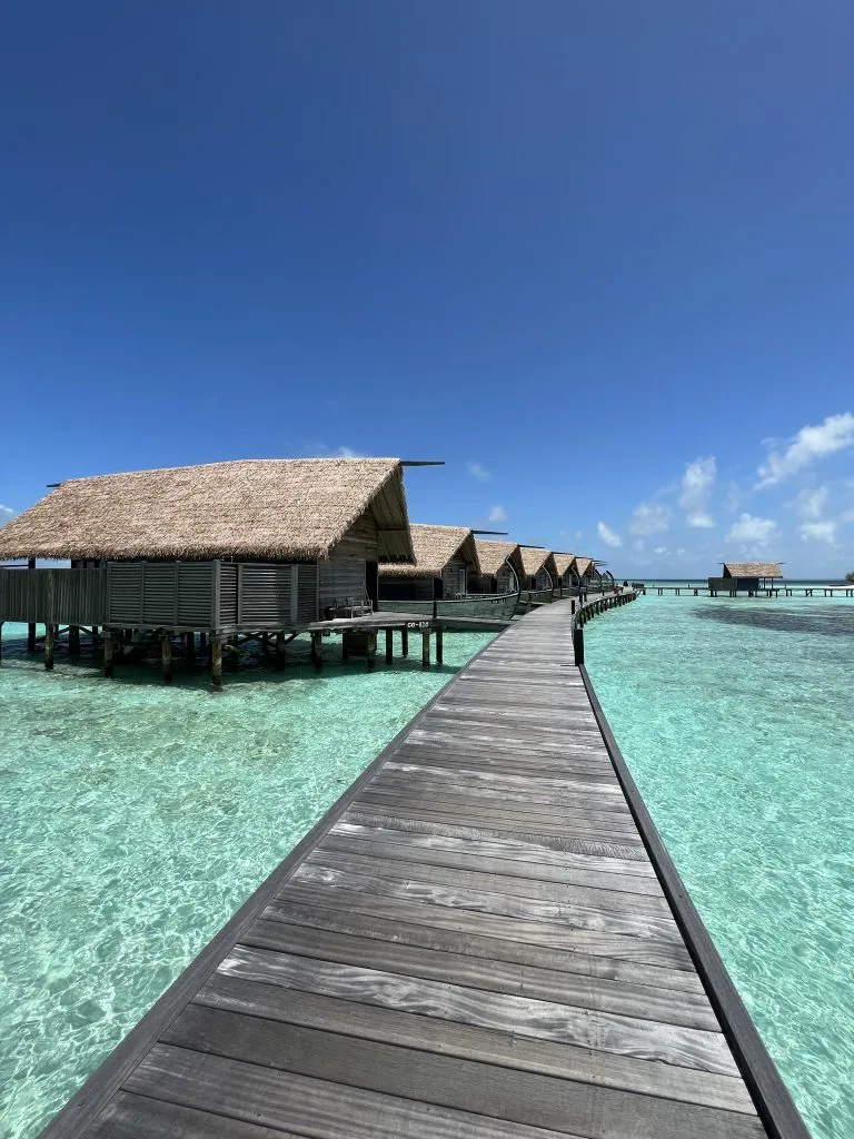 COMO Cocoa Island, villa overwater, South Malé Atoll, Maldives, Boardwalk perspective looking down the dhoni-shaped villa row, the conical thatched roofs lined up along the walking jetty with each villa's curved hull-like timber stilts reading clear above the shallow lagoon, the country's most explicit translation of the traditional Maldivian sailing-craft into resort architecture.