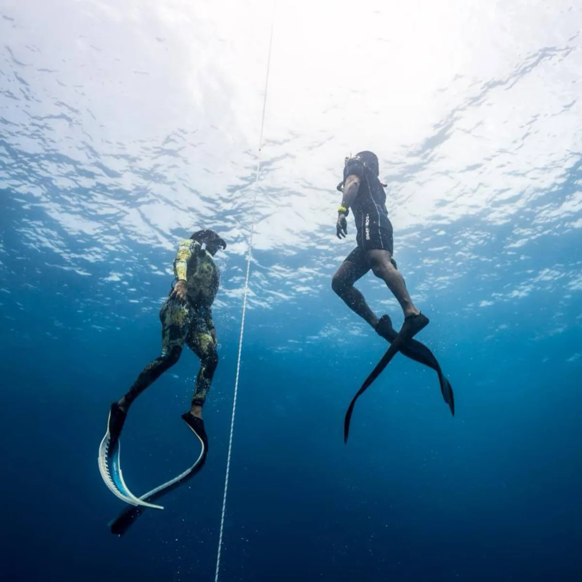 COMO Maalifushi, activity, Thaa Atoll, Maldives, Freediving descent, two freedivers in wetsuits and long fins descending along a guide line against the deep-blue water column, surface ripples above (Maalifushi runs a notably serious freediving programme alongside its surf break).