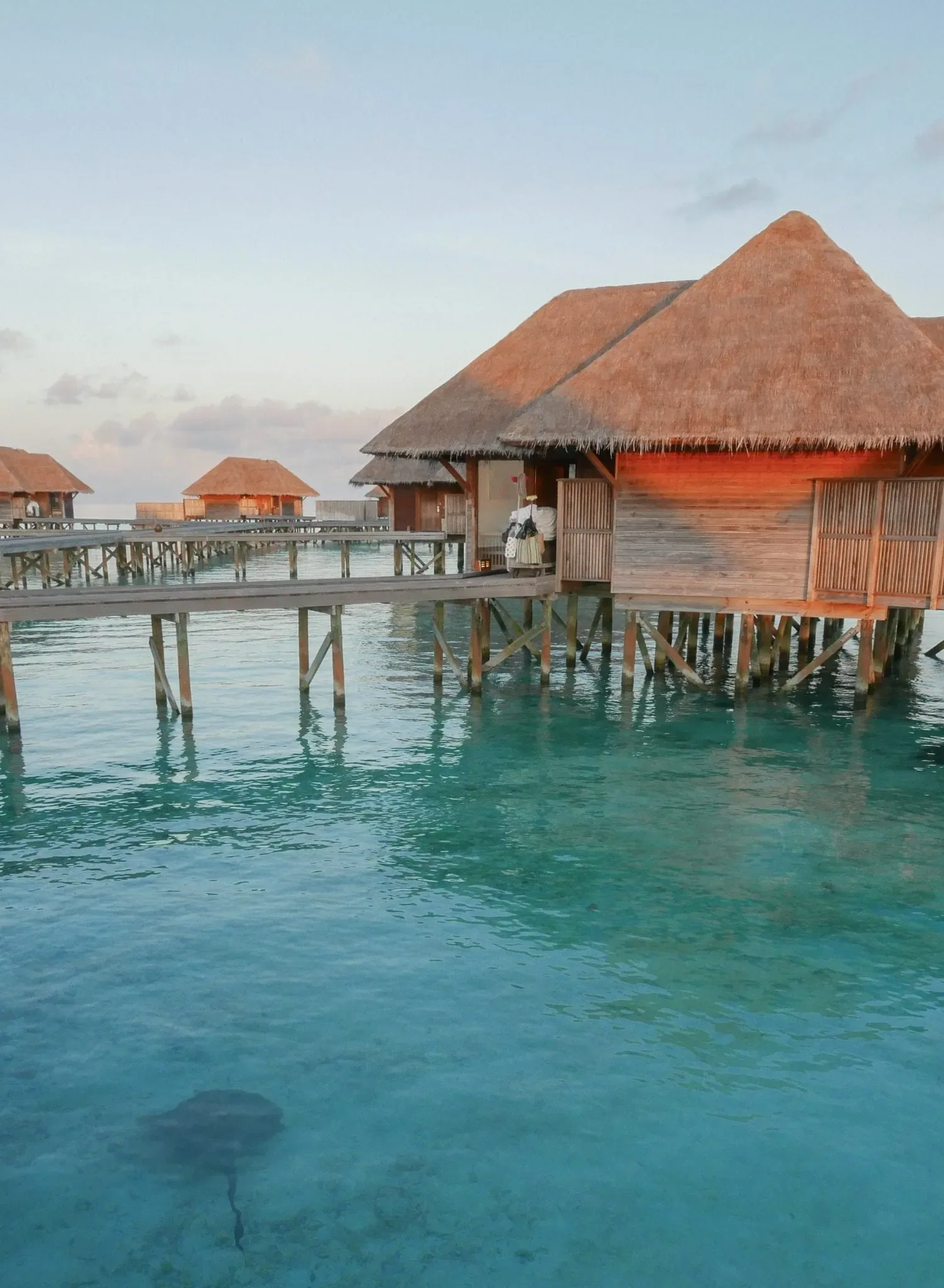 Conrad Maldives Rangali Island, villa overwater, Alif Dhaal (South Ari) Atoll, Maldives, Cluster of water villas on stilts at twilight, the lagoon reef visible through the calm surface, the wildlife encounters (rays, juvenile reef sharks) that the southern house reef brings under the deck after sunset.