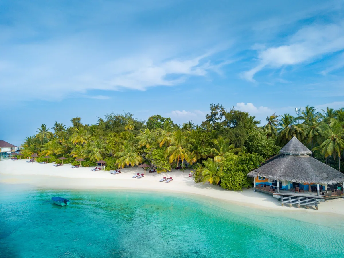 Cinnamon Ellaidhoo Maldives, activities, Alif Alif Atoll (North Ari), Maldives, Dive Center beach aerial with the thatched-roof dive-school pavilion on stilts at the lagoon edge, a moored boat at the sand line, sun-loungers along the beach and palm canopy framing. The 1981-opening institutional reef-and-route knowledge sits inside that pavilion.
