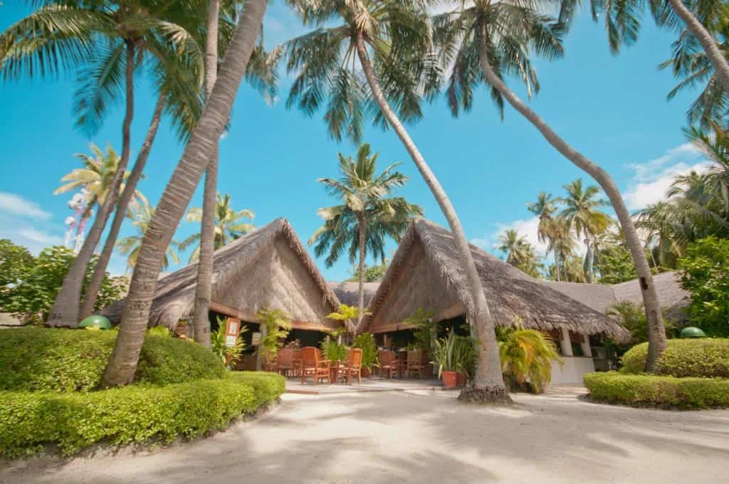 Fihalhohi Island Resort, dining, South Malé Atoll, Maldives, Principal all-day pavilion with the Maldivian kitchen rotation.