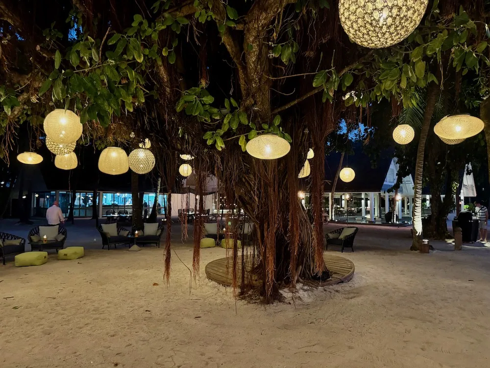 Four Seasons Resort Maldives at Landaa Giraavaru, dining, Baa Atoll, Maldives, Fuego Grill at night: a massive banyan tree dressed with a cluster of hanging woven lanterns, sand-floor cocktail lounge underneath, the dining pavilion glowing behind the canopy.