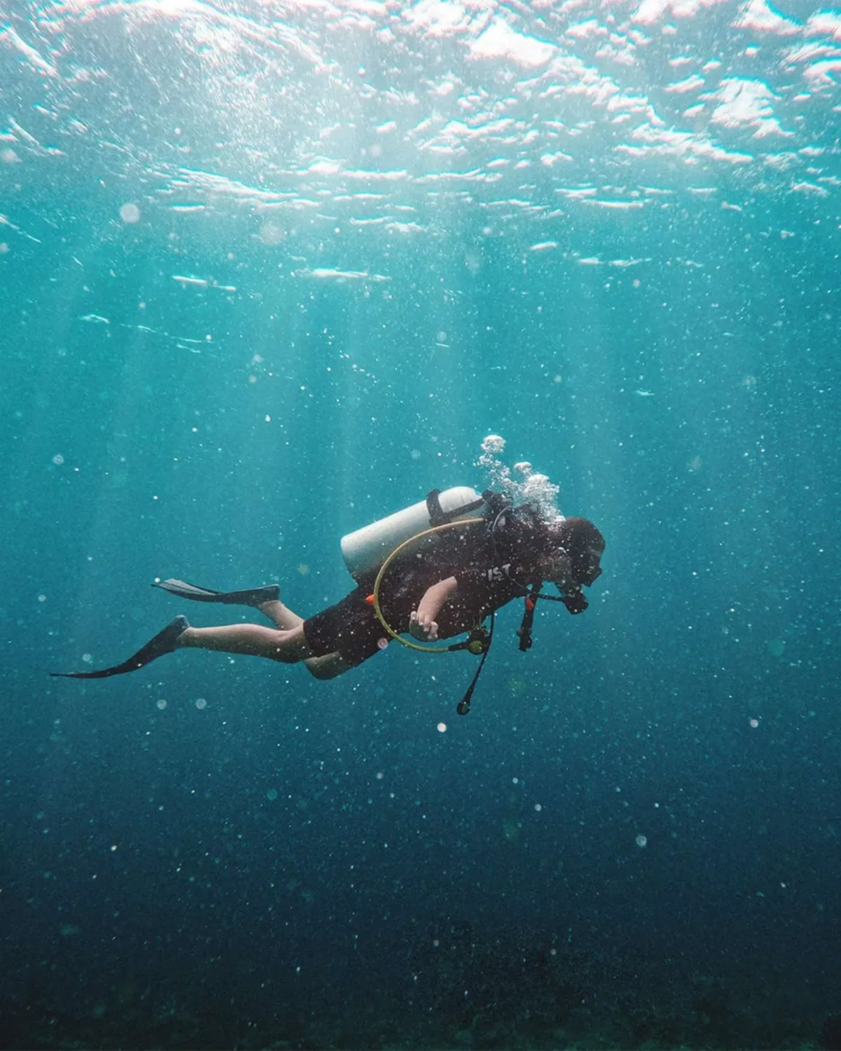 Hideaway Beach Resort & Spa, MERIDIS PADI 5-star dive operation underwater shot, Haa Alif Atoll, Maldives