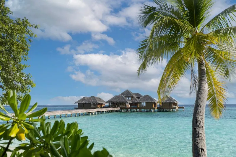 Huvafen Fushi, setting, North Malé Atoll, Maldives, Daytime view of the LIME spa pavilion row from the property beach, palm fronds and sea-grape leaves in the foreground frame the thatched pavilions sitting low over the turquoise lagoon edge.