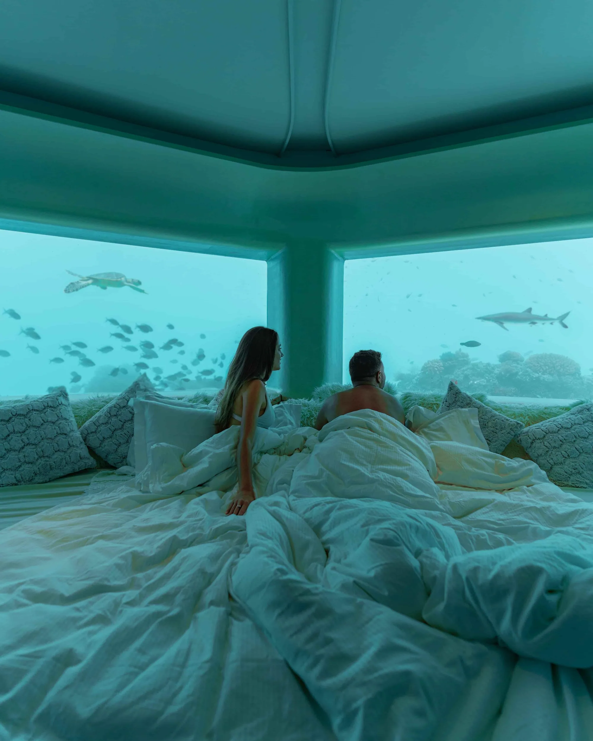 Huvafen Fushi, spa, North Malé Atoll, Maldives, LIME underwater chamber eight metres below the lagoon, glass windows looking out onto reef sharks and green turtles passing the soft-blue submerged room, the world's first dedicated submerged spa configuration since 2007.