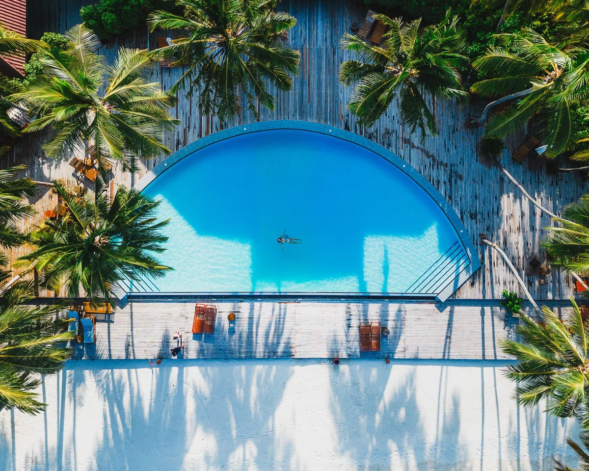Medhufushi Island Resort, pool, Meemu Atoll, Maldives, Main pool aerial top-down: distinctive D-shape (half-circle) infinity pool with a single swimmer, surrounded by timber decking and white sand, the dense coconut palm canopy enclosing the deck, sun loungers visible at the perimeter edges, the deck shadow patterns from the palm fronds.
