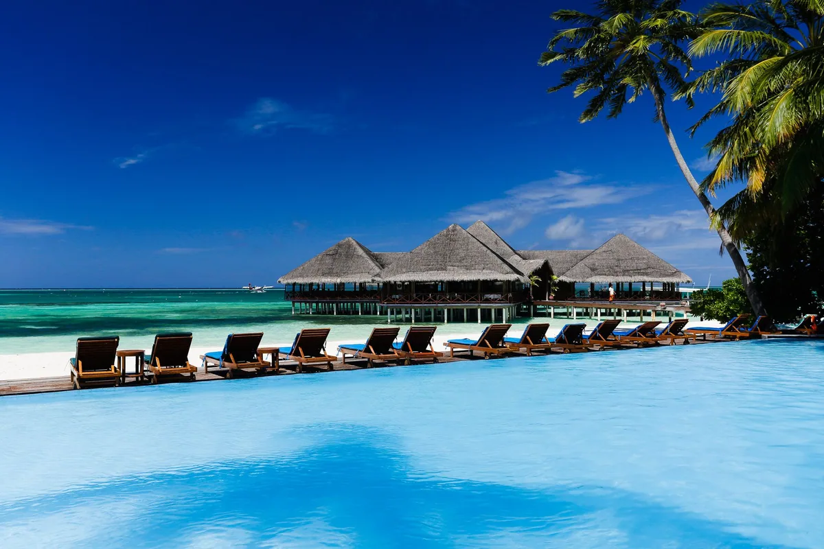 Medhufushi Island Resort, pool, Meemu Atoll, Maldives, Main pool ground-level view: long row of timber-frame sun loungers with blue cushions along the pool edge, the cluster of three connected thatched conical-roof pavilions (Malaafaiy restaurant cluster) in the mid-distance, a tall coconut palm framing the right side of the frame, vibrant turquoise lagoon visible across the property.