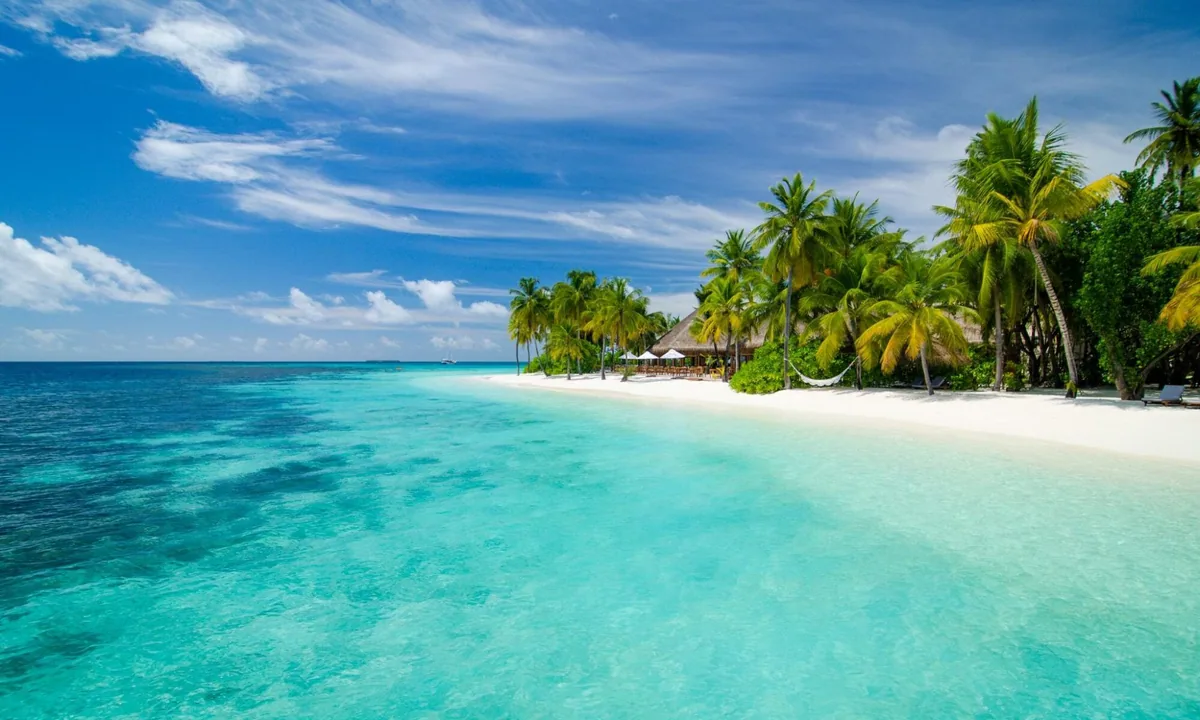 Mirihi Island Resort, setting, Alif Dhaal (South Ari) Atoll, Maldives, Mirihi side-elevation drone view with the long curving white-sand beach, the thatched Beach Villa cluster tucked into the dense palm canopy mid-distance, and the hammock at the tree line.