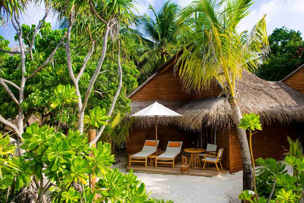 Mirihi Island Resort, villa beach, Alif Dhaal (South Ari) Atoll, Maldives, Deluxe Beach Villa, the small naturally-vegetated beach-back configuration.
