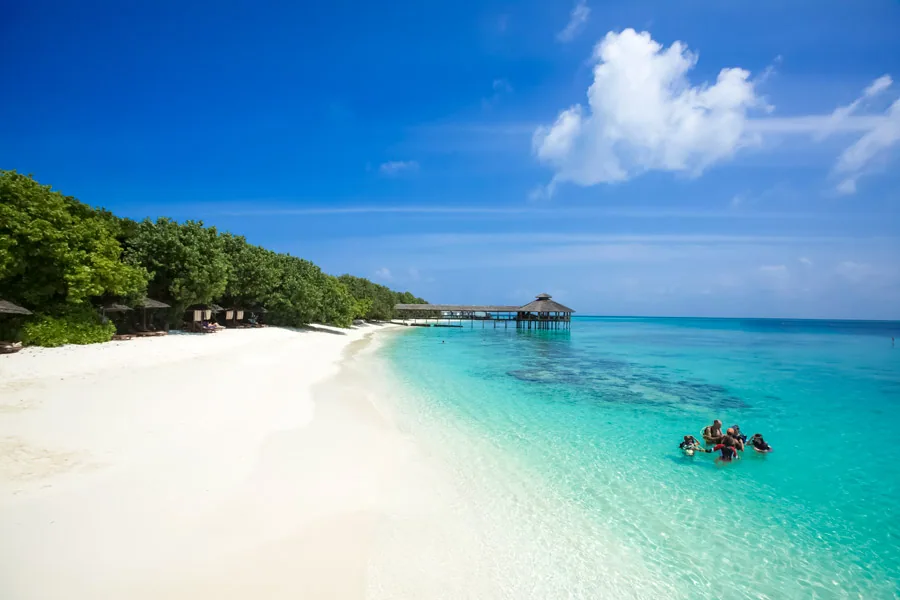 NH Collection Maldives Reethi Resort, activities, Baa Atoll, Maldives, House-reef beach scene with a dive class group in the shallow turquoise water near the reef edge, the long thatched overwater dive-and-snorkel jetty pavilion extending into the lagoon and the palm-canopied beach lined with thatched sun-shades.