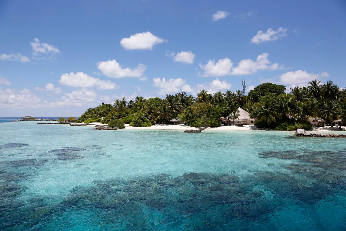 Nika Island Resort & Spa, setting, Alif Alif Atoll (North Ari), Maldives, Island arrival waterline view of Nika, traditional white coral-stone walled structures peeking through the dense palm canopy along the small-island beach, communications tower marking the centre, shallow turquoise lagoon with reef texture visible in the foreground.
