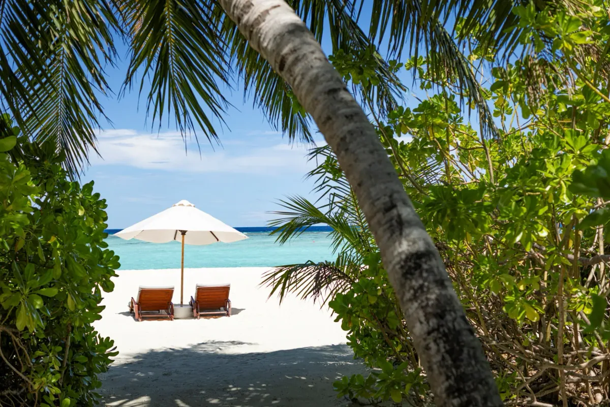 Niva Velassaru Maldives, setting, South Malé Atoll, Maldives, Beach lounger setup framed by palms and sea-grape foliage: twin orange wooden loungers under a white parasol on white sand, turquoise lagoon stretching to the horizon, lush green canopy enclosing both flanks of the shot.