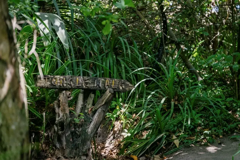 Niva Velassaru Maldives, activity, South Malé Atoll, Maldives, Jungle Walk trail signpost: a rustic hand-carved JUNGLE WALK wooden directional sign mounted on a driftwood-stump post in dense vegetation, pandanus grass and tropical understorey filling the frame, the documentary face of the guided jungle walk programme across the island interior.