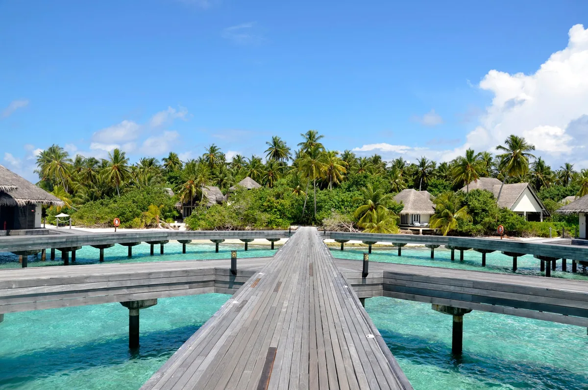 Outrigger Konotta Maldives Resort, setting, Gaafu Dhaalu Atoll, Maldives, Branching-arrival jetty seen from the boat platform: a three-pronged junction of teak boardwalks meeting before the path leads onto the main island, palm canopy and thatched-roof structures behind, the lagoon shallow at the legs.