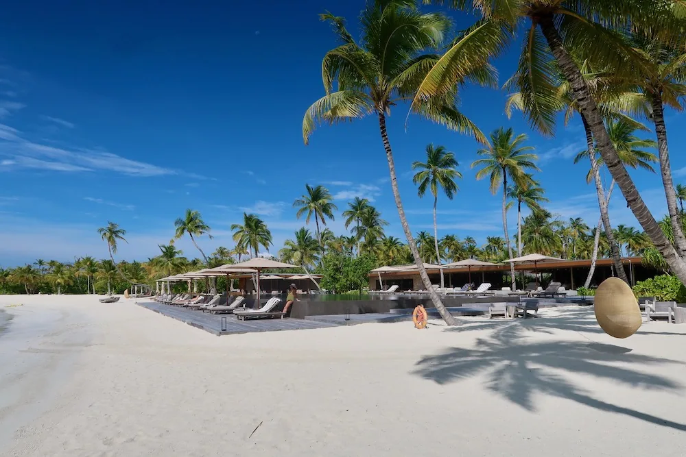 Patina Maldives, Fari Islands, setting, North Malé Atoll, Maldives, Central main pool at sunset, the curved infinity edge framed by palm silhouettes and the MK27 horizontal architecture, the property's social anchor between the Beach House cluster and the marina side.