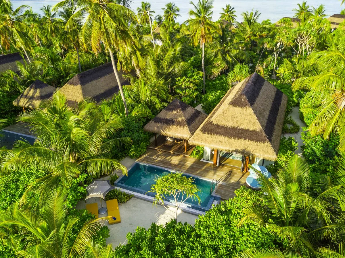 Pullman Maldives Maamutaa, villa beach, Gaafu Alifu Atoll, Maldives, Beach Pool Villa aerial, the signature twin-thatched-peak pavilion nestled in a dense palm canopy with a private rectangular pool between the two pavilion wings.