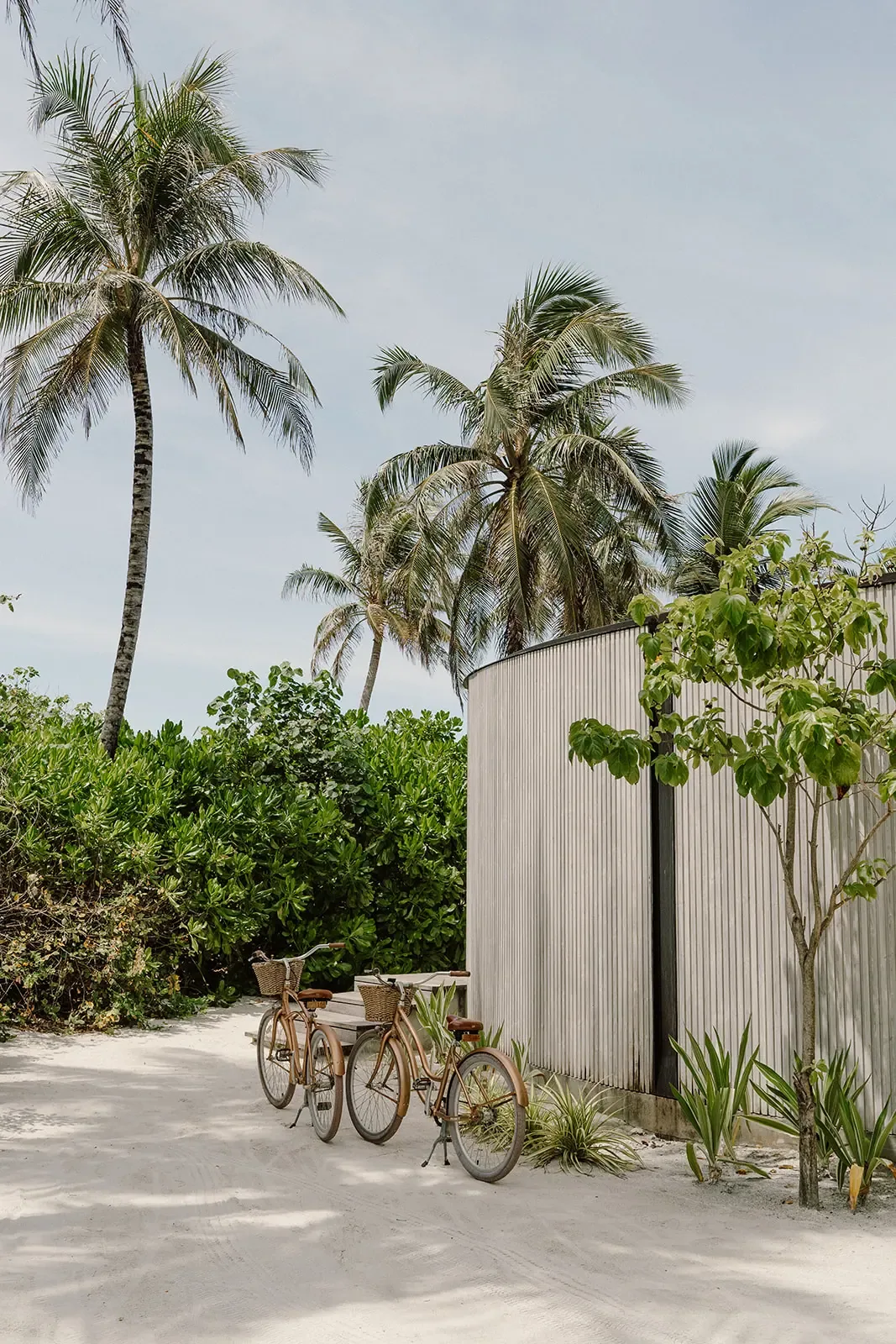 The Ritz-Carlton Maldives, Fari Islands, setting, North Malé Atoll, Maldives, The Ritz-Carlton Maldives Fari Islands island life detail: two woven-basket cruiser bicycles parked against a curved wooden-clad villa wall, towering coconut palms overhead, beach-back vegetation and a sandy path through the property.