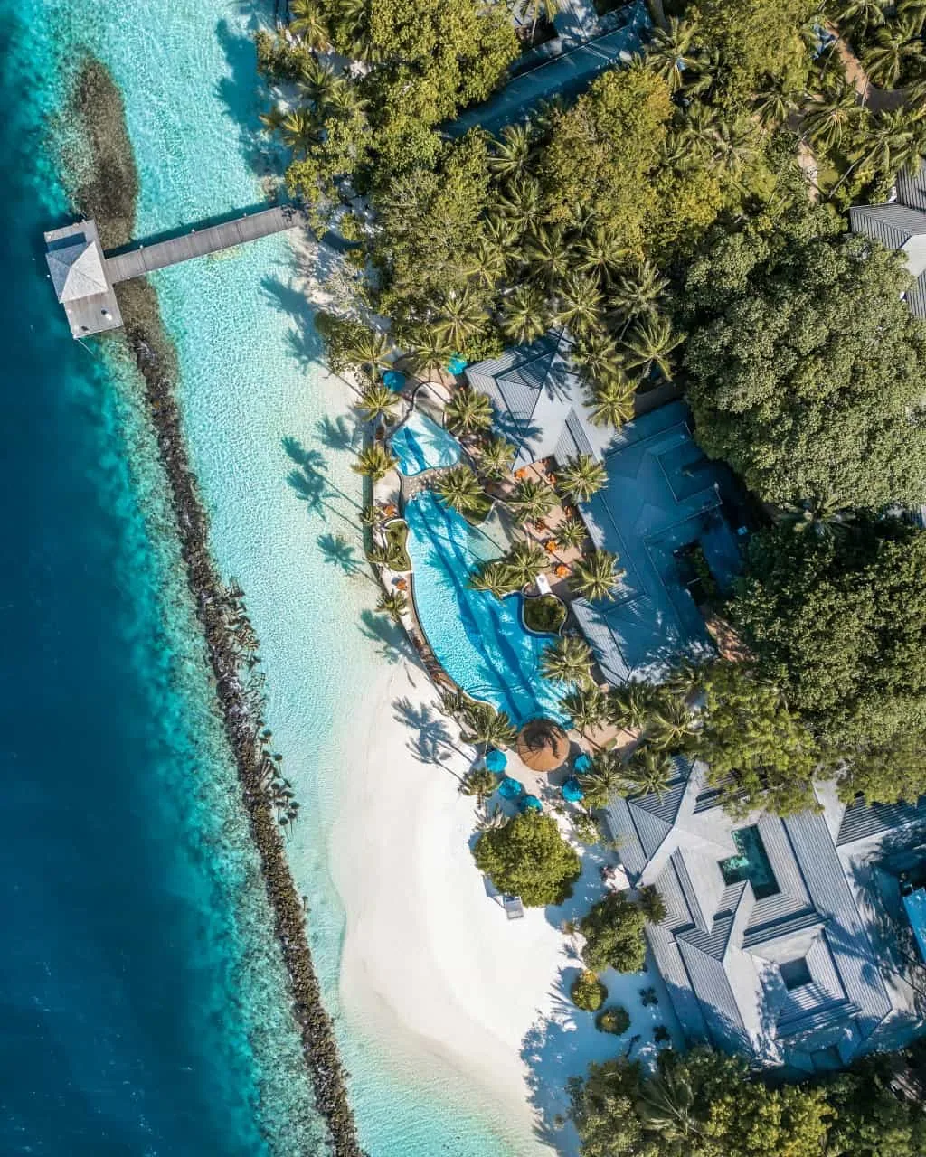 Royal Island Resort & Spa, setting, Baa Atoll, Maldives, Lagoon pool from above, the curved infinity-edge swimming pool merging into the white-sand beach point, the arrival jetty extending out to the left, the thatched-roof villa-grouping at the right under the dense palm canopy and the surrounding turquoise reef shelf.