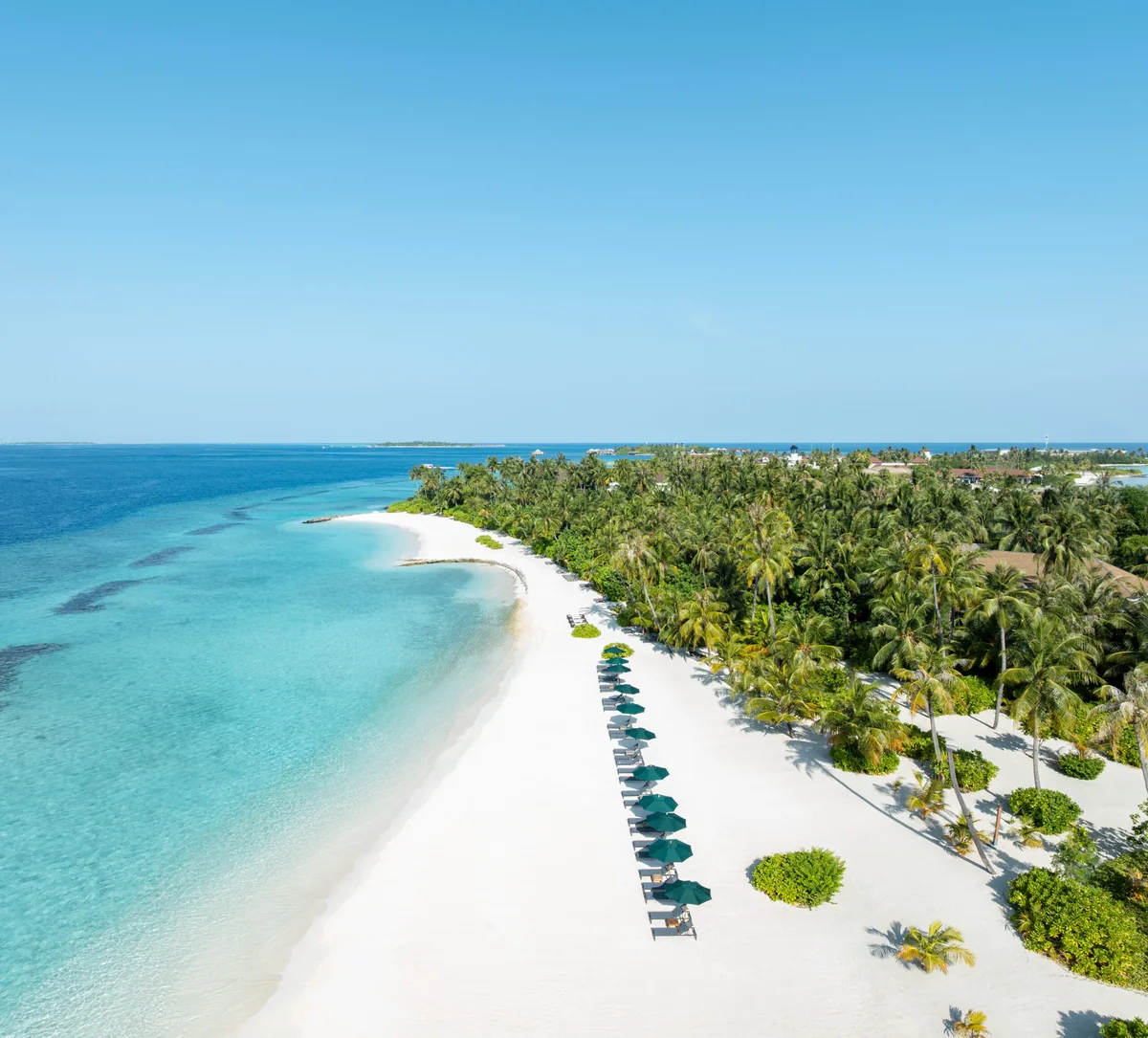 SAii Lagoon Maldives, Curio Collection by Hilton, aerial, South Malé Atoll, Maldives, Aerial of the SAii Lagoon beach perimeter: row of green parasols and loungers strung along the white-sand shoreline, dense palm canopy, the turquoise lagoon edge sloping to deeper blue ocean, the Marina precinct visible as a small line of buildings at the far right.