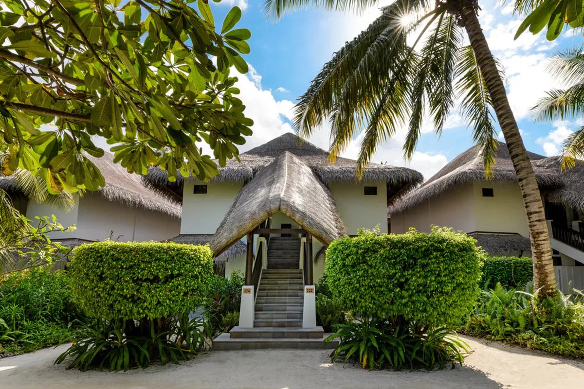 Sheraton Maldives Full Moon Resort & Spa, villa beach, North Malé Atoll, Maldives, Beachfront Deluxe bungalow row exterior: cluster of thatched-roof bungalows in a row, central entry archway with stone steps, frangipani trees flanking the path, manicured shrub borders, palm canopy above (the property's heritage thatched-roof beach-bungalow architecture).