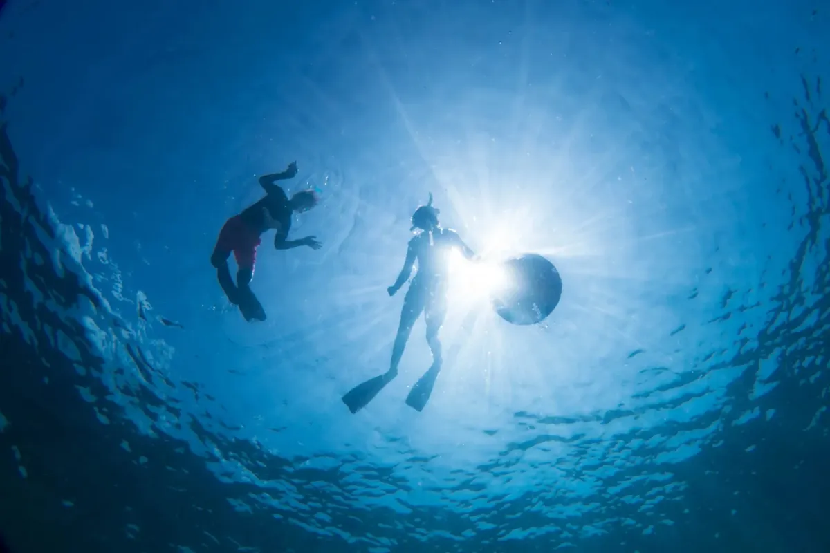 Snorkeller on the Six Senses Laamu house reef with coral and reef fish visible in the shallows.