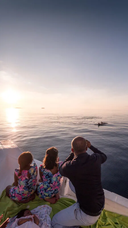 Sunset dolphin cruise dhoni on a calm lagoon at golden hour off Soneva Fushi.