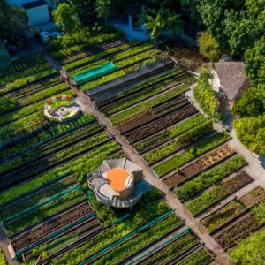 Shades of Green organic garden rows producing vegetables, herbs and edible flowers for the Soneva Fushi kitchens.
