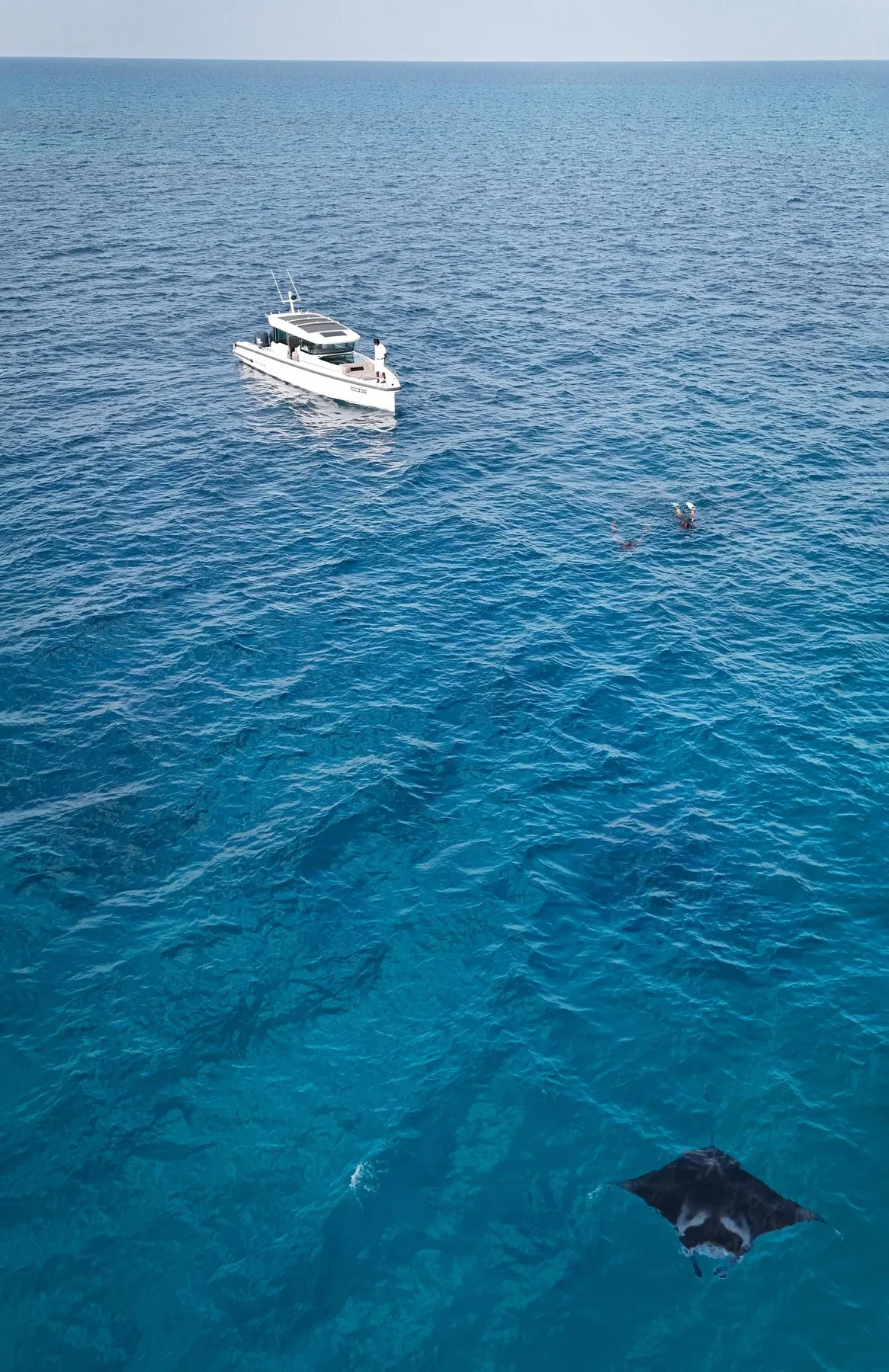 Soneva Secret, activities, Haa Dhaalu Atoll, Maldives, Manta-snorkel excursion: snorkelers in the deep blue alongside a manta ray gliding past, the property's yacht visible at the surface, the wider Haa Dhaalu reef-edge marine excursion programme.
