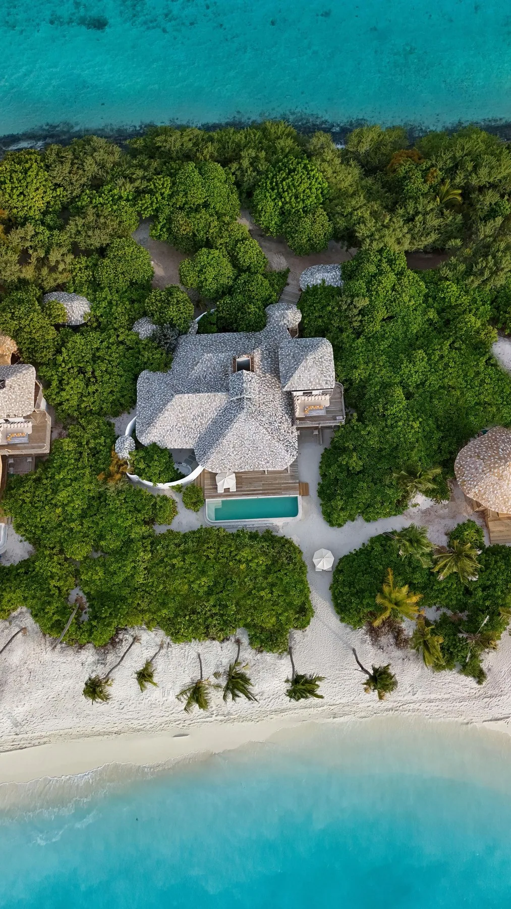 Soneva Secret, villa beach, Haa Dhaalu Atoll, Maldives, Crusoe Island Villa: the timber-and-thatch villa nestled into the island's tropical vegetation with the private plunge pool and the lagoon edge directly beyond, Soneva's barefoot-luxury palette throughout.