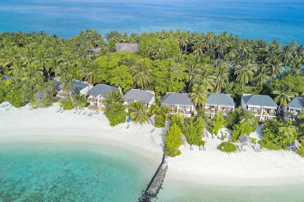 Summer Island Maldives, villa beach, North Malé Atoll, Maldives, Beach villa row aerial along the Ziyaaraifushi perimeter: white-walled contemporary beach villas with dark hip-roof profiles nestled into the palm canopy along the beach edge, sun loungers on the white sand, breakwater rocks visible at the lagoon edge.