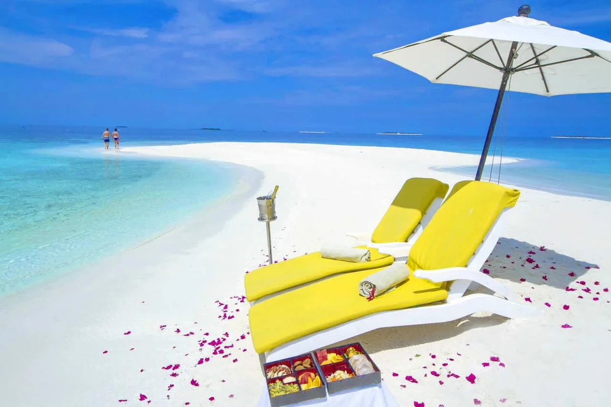 Summer Island Maldives, activity, North Malé Atoll, Maldives, Sandbank picnic configuration: two yellow-cushioned loungers under a white umbrella on a white-sand sandbank, champagne bucket on stand, lacquered bento boxes on a white-cloth picnic blanket, scattered magenta bougainvillea petals, couple walking the sandbank's far edge, turquoise lagoon stretching to the horizon.