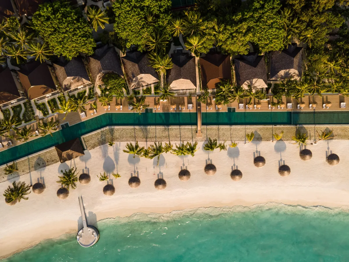 Sun Siyam Olhuveli, aerial, South Malé Atoll, Maldives, Top-down aerial of the property's beachfront infinity pool: long rectangular pool running parallel to the shoreline, sun-loungers and sand parasols arrayed along the beach edge, thatched-roof villas tucked behind a hedge row, the lagoon catching the southern light.