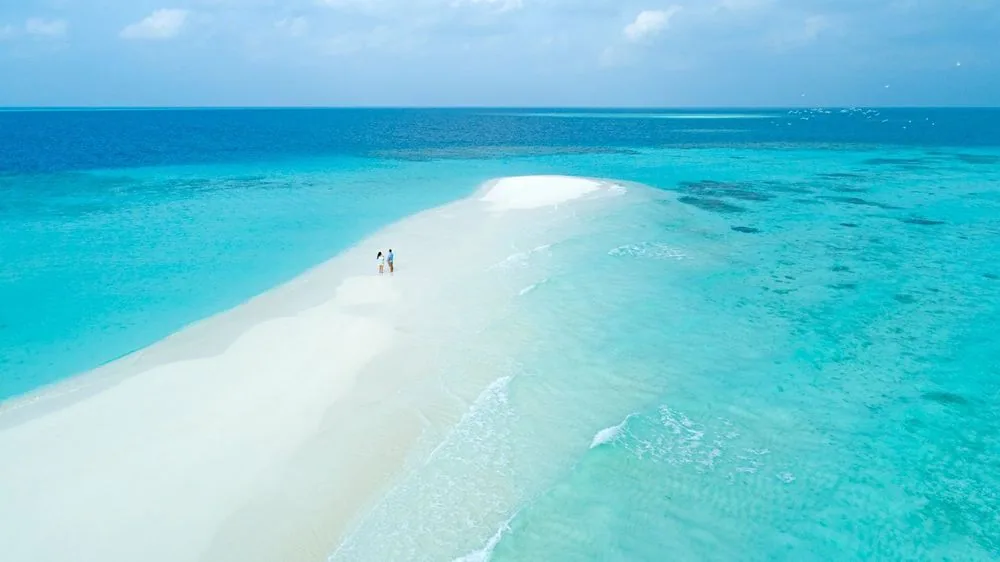 Taj Coral Reef Resort & Spa, lifestyle, North Malé Atoll, Maldives, Sandbank excursion drone view, the slim crescent of white sand emerging from the turquoise reef lagoon with deeper blue beyond, a couple standing mid-bank, and a flock of seabirds tracking the horizon (the resort-organised excursion configuration within the North Malé routing radius).