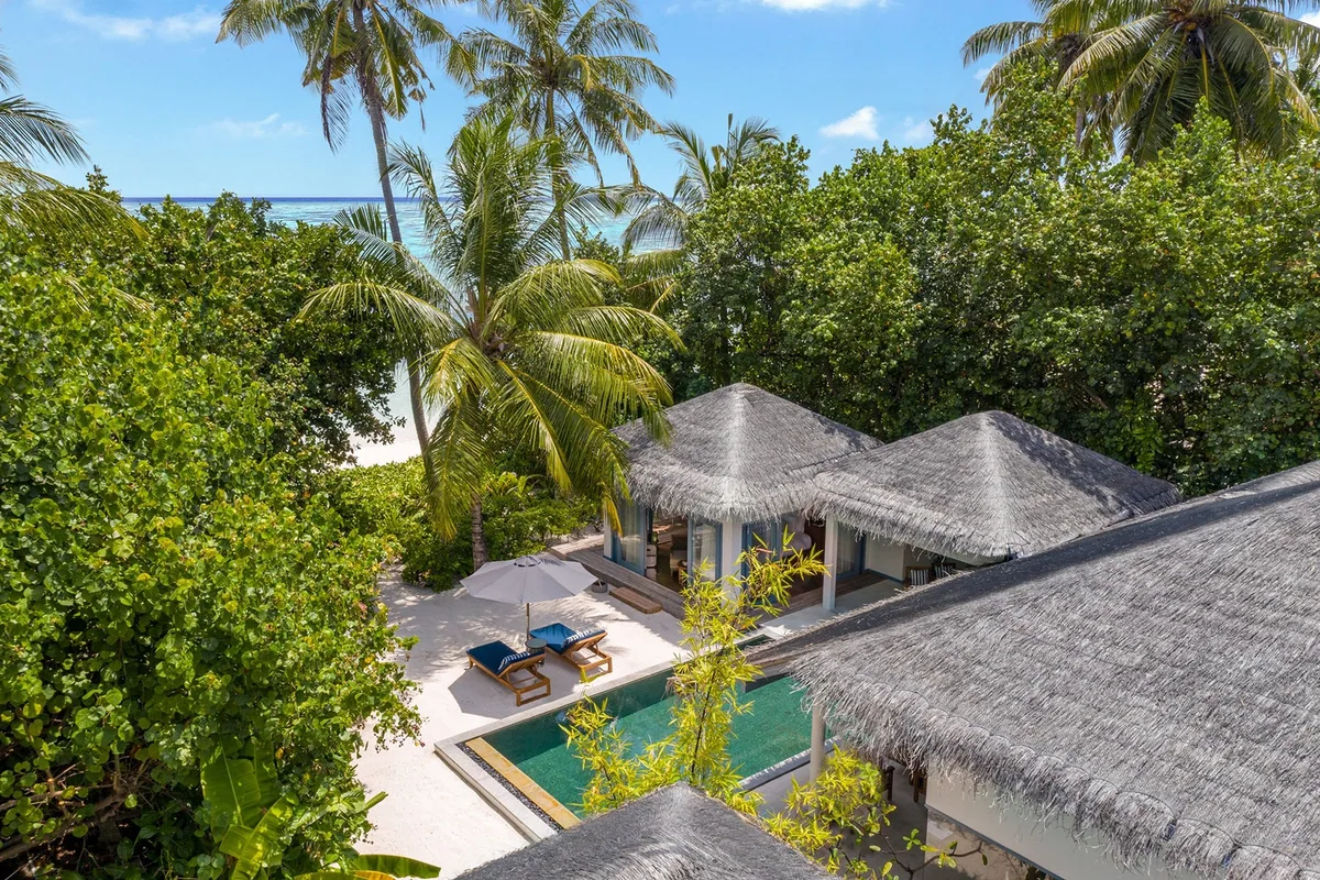 The Halcyon Private Isles Maldives, villa beach, Gaafu Alifu Atoll, Maldives, Beach Pool Villa aerial, twin thatched-roof pavilions with a private plunge pool set between them, twin sun loungers, palm canopy framing both wings, signature pale-blue trim (Halcyon-era retained design element).