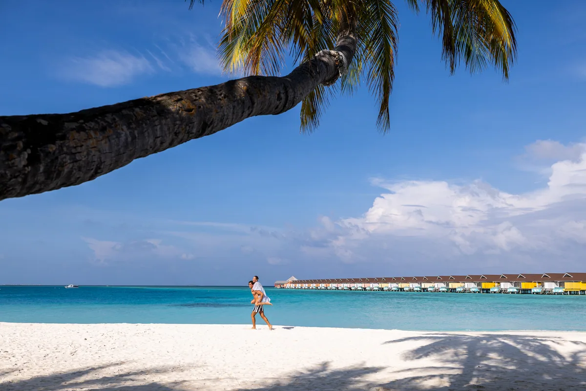 The Standard Maldives, lifestyle, Raa Atoll, Maldives, Couple walking the white-sand beach in soft embrace, framed by a curving palm trunk in the foreground, the Standard's color-block beach-villa row reading along the distant reef edge (yellow and red painted facades visible), turquoise lagoon between.