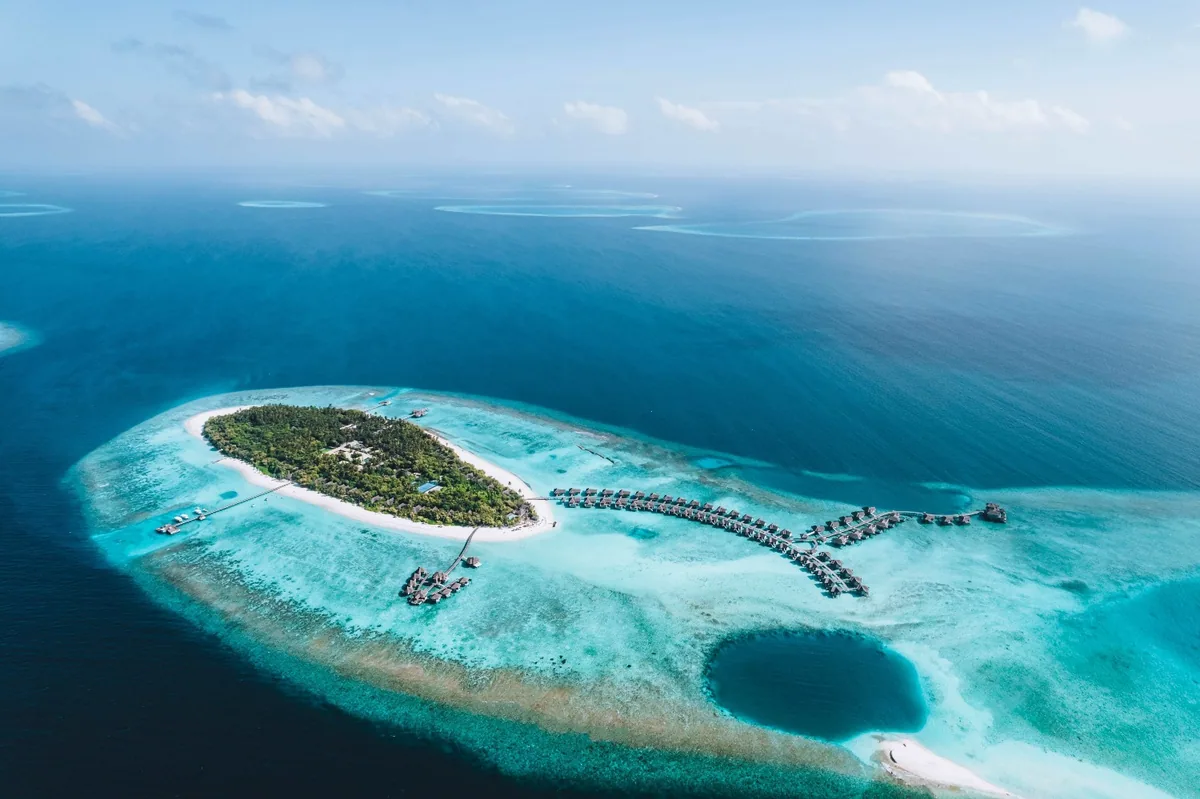 Vakkaru Maldives, aerial, Baa Atoll, Maldives, Vakkaru island full drone aerial, the bean-shape island with dense palm canopy and the signature Y-shape overwater villa cluster extending into the reef shelf, the dark blue-hole reef formation visible at the bottom-right, encircling turquoise lagoon and deep cobalt outer water.