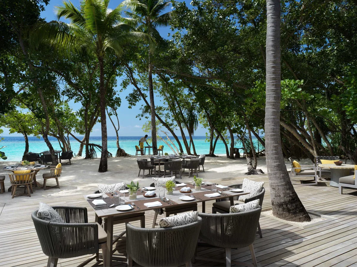 Vakkaru Maldives, dining, Baa Atoll, Maldives, Amaany principal restaurant beach-dining at midday, the row of wooden tables with rope-back cushioned chairs scattered through the palm grove on the white-sand edge, lit candle table-settings and the turquoise lagoon stretching beyond.