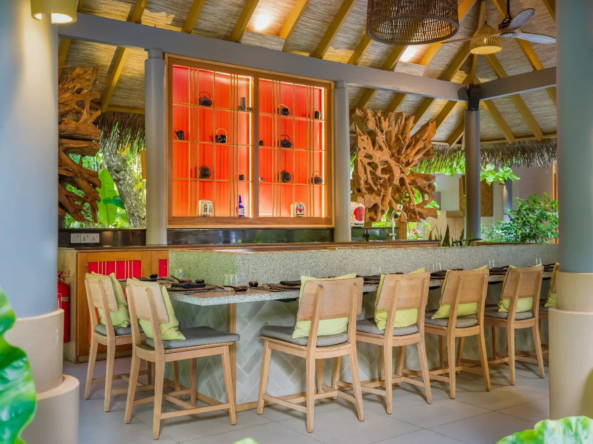 Vakkaru Maldives, dining, Baa Atoll, Maldives, Anguru teppanyaki counter dining, the concrete chevron-pattern counter with cane-back stools and chartreuse cushions, red shoji-screen lit display of teapots and bottles, twisted driftwood feature sculpture under the thatched conical roof.