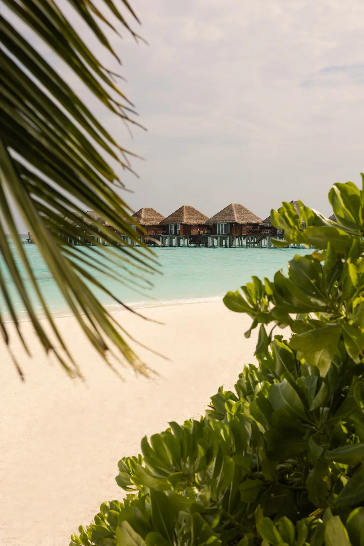 Vilu Reef Beach & Spa Resort, villa beach, Dhaalu Atoll, Maldives, Beach Villa with Pool at the perimeter configuration.