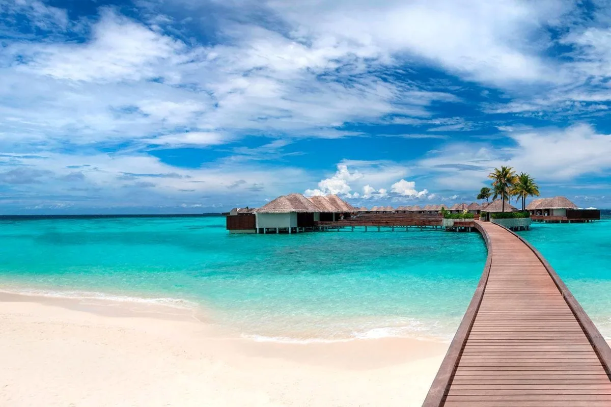 W Maldives, setting, Alif Dhaal (South Ari) Atoll, Maldives, Property arrival composition with the boardwalk view from the beach toward the thatched-roof overwater villa cluster mid-distance, the white sand strand, the single tall palm at right, and the deep blue sky with scattered cumulus.